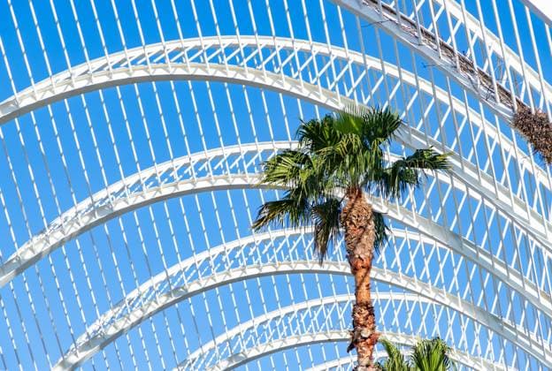 Creative Highlights World Stadt der Künste und Wissenschaften - L Umbracle Stadt der Künste und Wissenschaften - L Umbracle (License=RF) Copyright: xZoonar.com BrunoxCoelhox 23787284