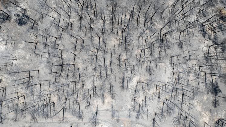 News Bilder des Tages The response to the ongoing forest fire in Bursa continues for the fourth day BURSA, TURKIYE - JULY 29: An aerial view shows scorched forest areas as firefighters continue to battle the wildfire from both air and ground for the fourth day between the districts of Orhaneli and Harmancik in Bursa, Turkiye, on July 29, 2025. Ismail Aslandag Anadolu Bursa Turkey. Editorial use only. Please get in touch for any other usage.  Copyright: x2025xAnadoluxIsmailxAslandagx