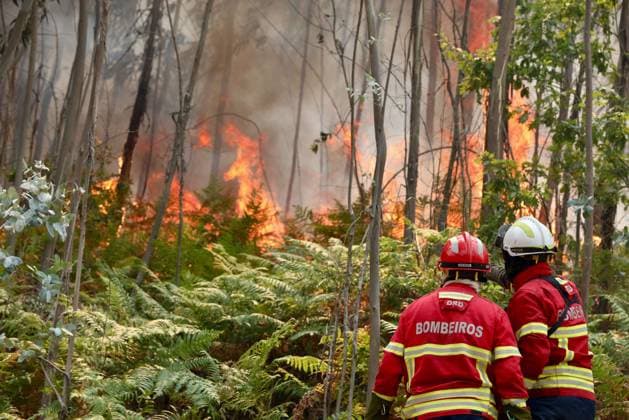 Firefighters try to put down the fire originated in Arouca, Portugal, 30 July 2025. Firefighters are working to prevent the Arouca fire, the largest of those ravaging northern and central Portugal, from spreading to homes in the area and are seeking to establish a safety perimeter to stop the flames from advancing. Fire in Portugal !ACHTUNG: NUR REDAKTIONELLE NUTZUNG!  Copyright: xCarlosxGarciax GRAF2715 20250730-55017542033_1