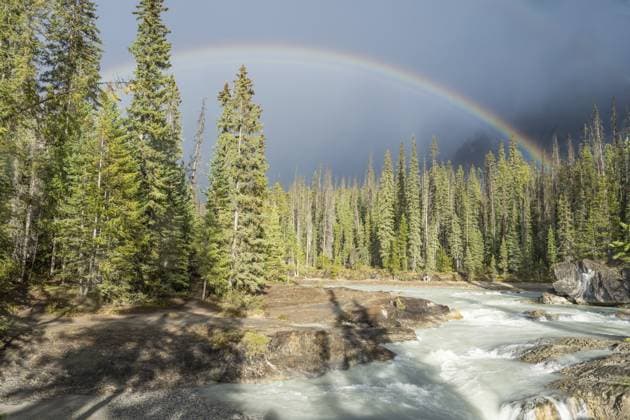Regenbogen, Fluss, Bäume, Landschaft, Kanada Rainbow, river, trees, landscape, canada Copyright: imageBROKER LOREDANAxDExSOLE ibxlld14423236.jpg