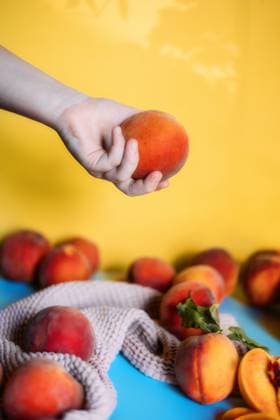Creative Highlights Symbolbilder Hand holding Peach in front of yellow background Tulsa, Oklahoma, United States CR_KRRY250805-1798873-01
