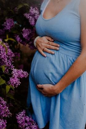 Creative Highlights Symbolbilder Pregnant woman in the parks with lilacs Lombard, Illinois, United States R_CXLZ250805D-1798421-01