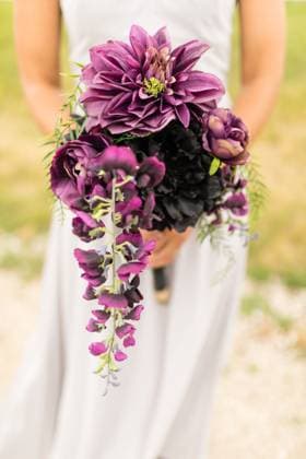 Creative Highlights Symbolbilder Bride holding bold purple and black cascading floral bouquet. Fort Dodge, Iowa, United States R_WQAU250805-1799885-01
