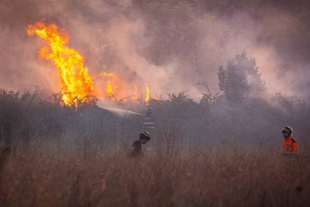News Themen der Woche KW32 The fire is burning through the woodland in the Parco degli Acquedotti in Rome, Italy. Rome, Italy - August 7, 2025: Firefighters try to put out a fire that is burning undergrowth in the Acquedotti park, due to the drought caused by the heat. Rome RM Italy Copyright: xGennaroxLeonardix