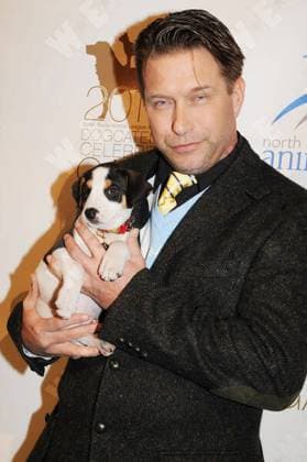 Stephen Baldwin 2010 North Shore Animal League America s 4th annual DogCatemy gala at Cipriani, Wall Street - Inside, New York City, New York City, United States WENN 3081744.jpg