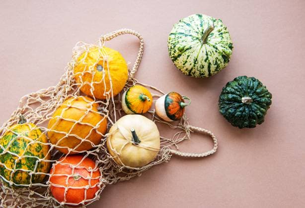 A lot of different decorative pumpkins in a shopping bag on a light brown background. Vegetables in a string bag Model Released OlenaRudo_ID31077_1054363_018 Copyright: xx