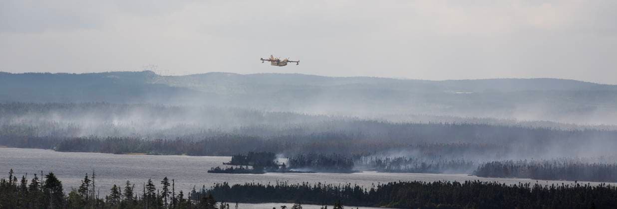 August 14, 2025, St. John s, Nl, CANADA: A water bomber flies over the Paddy s Pond wildfire, just outside St. John s, N.L., on Thursday, Aug. 14, 2025. St. John s CANADA  - ZUMAc35_ 20250814_zaf_c35_072 Copyright: xPaulxDalyx