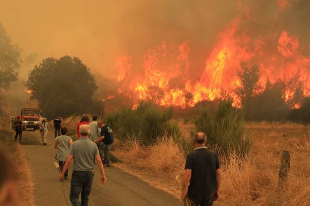 News Bilder des Tages Extinguishing efforts against forest fires continues in Spain CUALEDRO, SPAIN - AUGUST 15: Firefighters and local residents continue to battle with forest fire that broke out in the Cualedro region of the province of Ourense, Spain on August 15, 2025. Authorities stated that efforts to bring the fire under control were ongoing. Felipe Carnotto Anadolu Cualedro Spain. Editorial use only. Please get in touch for any other usage.  Copyright: x2025xAnadoluxFelipexCarnottox