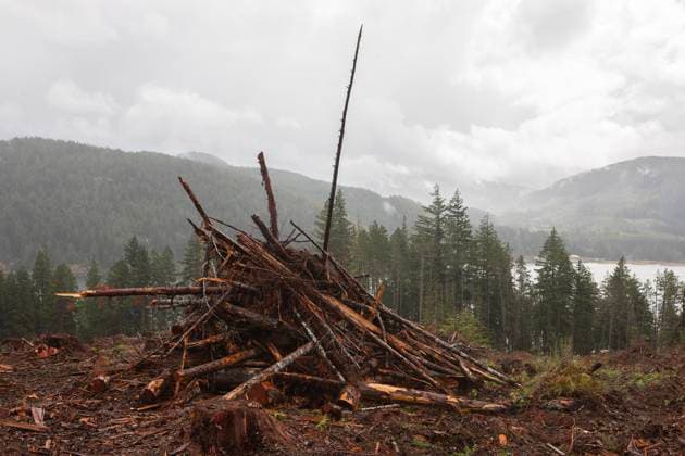 August 16, 2025, Port Alberni, Bc, CAN: A slash pile above the Alberni Inlet looking towards Underwood Mountain south of Port Alberni, B.C., on Saturday, August 16, 2025. Port Alberni CAN  - ZUMAc35_ 20250816_zaf_c35_136 Copyright: xChadxHipolitox