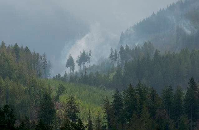 August 16, 2025, Port Alberni, Bc, CAN: Rain and smoke from the Underwood Mountain wildfire can be seen from across the Alberni Inlet at the Macktush Creek Campsite south of Port Alberni, B.C., on Saturday, August 16, 2025. Port Alberni CAN  - ZUMAc35_ 20250816_zaf_c35_145 Copyright: xChadxHipolitox