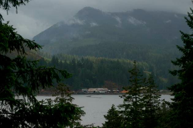 August 16, 2025, Port Alberni, Bc, CAN: Franklin Forest Products below the Underwood Mountain wildfire looking across the Alberni Inlet south of Port Alberni, B.C., on Saturday, August 16, 2025. Port Alberni CAN  - ZUMAc35_ 20250816_zaf_c35_147 Copyright: xChadxHipolitox