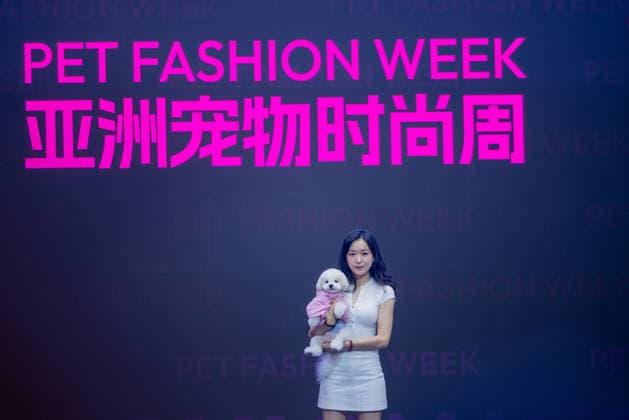 SHANGHAI, CHINA - AUGUST 20: A pet dog accompanied by its owner walks the runway during the Pet Fashion Week on August 20, 2025 in Shanghai, China.  Copyright: xVCGx 111585980216