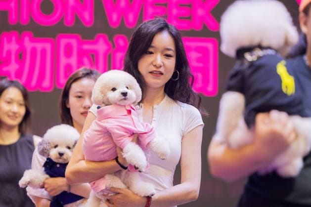 SHANGHAI, CHINA - AUGUST 20: Pet dogs accompanied by their owners walk the runway during the Pet Fashion Week on August 20, 2025 in Shanghai, China.  Copyright: xVCGx 111585980219