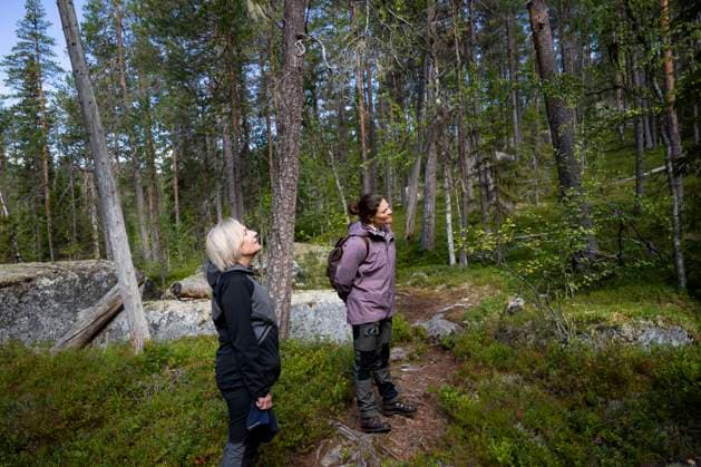 Swedens Crown Princess Victoria visits Björnlandet National Park in Åsele, Sweden, on August 25, 2025 SWEDEN x10050x  Copyright: xPontusxLundahl TTx CROWN PRINCESS IN BJÖRNLANDETA NATURE RESERVE 8Me5yLu7LbQ