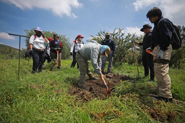 Human remains found during a search operation for missing persons in Mexico STATE OF MEXICO, MEXICO - AUGUST 26: Members of search brigades search for human remains and clues, at the Sierra de Guadalupe, in the State of Mexico, Mexico on August 26, 2025. Human remains were found in the mountainous area of Sierra de Guadalupe during a search operation carried out by relatives of missing persons, members of the National Guard, collectives and members of the Investigation Police, among others. The number of people reported as disappeared continues to rise in the country, now exceeding 130,000 Daniel Cardenas Anadolu State of Mexico Mexico. Editorial use only. Please get in touch for any other usage. Copyright: x2025xAnadoluxDanielxCardenasx