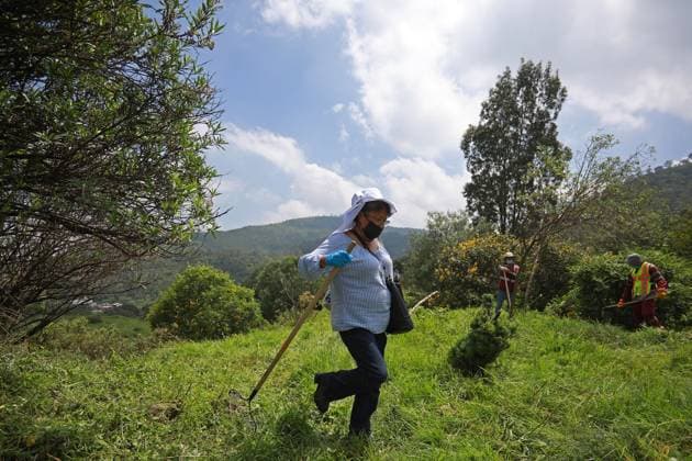 Human remains found during a search operation for missing persons in Mexico STATE OF MEXICO, MEXICO - AUGUST 26: A relative of a missing person takes part in a search brigade, at the Sierra de Guadalupe, in the State of Mexico, Mexico on August 26, 2025. Human remains were found in the mountainous area of Sierra de Guadalupe during a search operation carried out by relatives of missing persons, members of the National Guard, collectives and members of the Investigation Police, among others. The number of people reported as disappeared continues to rise in the country, now exceeding 130,000 Daniel Cardenas Anadolu State of Mexico Mexico. Editorial use only. Please get in touch for any other usage. Copyright: x2025xAnadoluxDanielxCardenasx