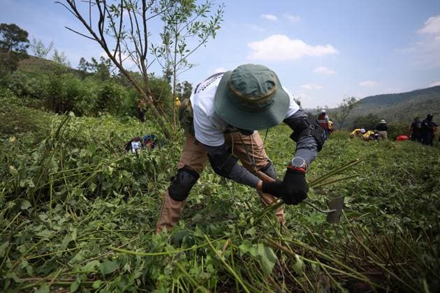 Human remains found during a search operation for missing persons in Mexico STATE OF MEXICO, MEXICO - AUGUST 26: A relative of a missing person takes part in a search brigade, at the Sierra de Guadalupe, in the State of Mexico, Mexico on August 26, 2025. Human remains were found in the mountainous area of Sierra de Guadalupe during a search operation carried out by relatives of missing persons, members of the National Guard, collectives and members of the Investigation Police, among others. The number of people reported as disappeared continues to rise in the country, now exceeding 130,000 Daniel Cardenas Anadolu State of Mexico Mexico. Editorial use only. Please get in touch for any other usage. Copyright: x2025xAnadoluxDanielxCardenasx