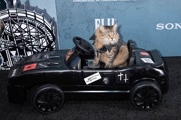 Tonic the Cat at the premiere of the movie Caught Stealing at Regal Union Square New York, 26 08 2025 Foto:xB.xHinex xFuturexImagex caught_5801