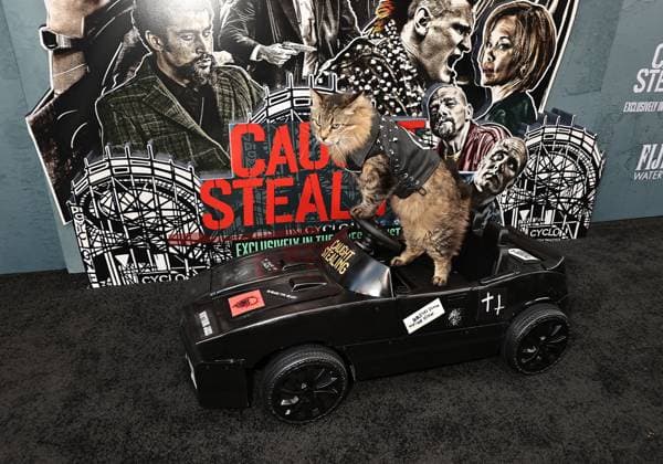 Red carpet for the New York premiere of Caught Stealing at the Regal Union Square Featuring: Tonic The Cat Where: New York, New York, United States When: 26 Aug 2025 Credit: Dave Allocca Starpix INSTARimages EDITORIAL USE ONLY. NOT FOR USE BY NEWSPAPERS BASED IN THE UK. Copyright: xx instar55014944