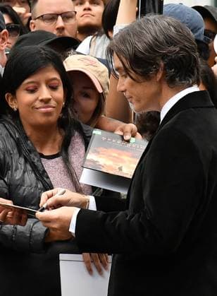 2025 Toronto International Film Festival - Steve Premiere Cillian Murphy attends the premiere of Steve during the 2025 Toronto International Film Festival at Royal Alexandra Theatre on September 05, 2025 in Toronto, Ontario. Toronto ON Canada Copyright: xCxFlanigan imageSPACEx