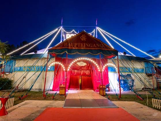 Circus Roncalli in Hannover 2025 - ARTistART - Premiere 2025 des Circus Roncalli in Hannover *** Circus Roncalli in Hanover 2025 ARTistART Premiere 2025 of Circus Roncalli in Hanover Copyright: xBerndxGüntherx