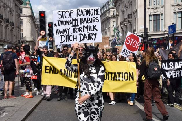 News Themen der Woche KW36 September 6, 2025, London, England, United Kingdom: A protester wearing a cow costume holds an anti-dairy sign during the Animal Rights March in Regent Street. Animal rights activists marched in central London in protest against all forms of animal exploitation and abuse, and to promote a vegan lifestyle. London United Kingdom - ZUMAv130 20250906_zip_v130_059 Copyright: xVukxValcicx