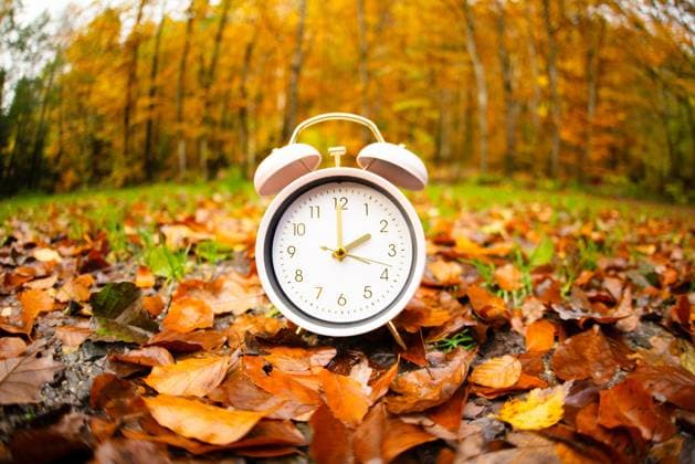 Ende der Sommerzeit im Herbst, Wecker-Zurückstellschalter, Umstellung auf Winterzeit, Wald mit buntem Laub *** End the Summertime at Fall, Alarm clock Reset switch, Changeover at Winter time, Forest with colorful Foliage 1133603124