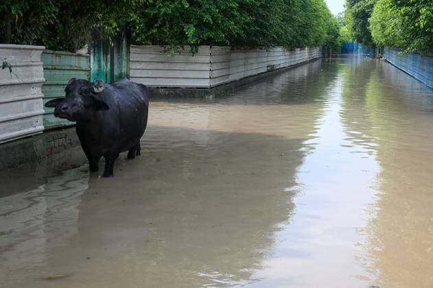News Themen der Woche KW36 NOIDA, INDIA - SEPTEMBER 6: A view of flood waters receded near Sector 126 to 131 Yamuna river, on September 6, 2025 in Noida, India The water level of Yamuna in Delhi-Noida has now started receding gradually, bringing some relief to the flood-affected people. In Delhi, the water level has dropped to 205.59 metres, although it is still above the danger mark. Despite the continued discharge of water from Hathini Kund, Wazirabad and Okhla barrages, the risk of floods has reduced due to the overall decline in the water level of the river. (Photo by Sunil Ghosh Hindustan Times ) Yamuna Water Level Recedes But Remains Above Danger Mark in Delhi