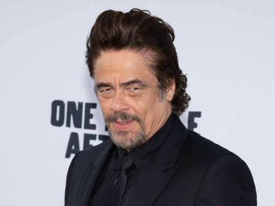 September 8, 2025, Hollywood, California, USA: Puerto Rican actor and producer BENICIO DEL TORO attends red carpet world remiere Of Warner Bros. One Battle After Another Hollywood USA - ZUMAb173 20250908_aap_b173_022 Copyright: xBillyxBennightx