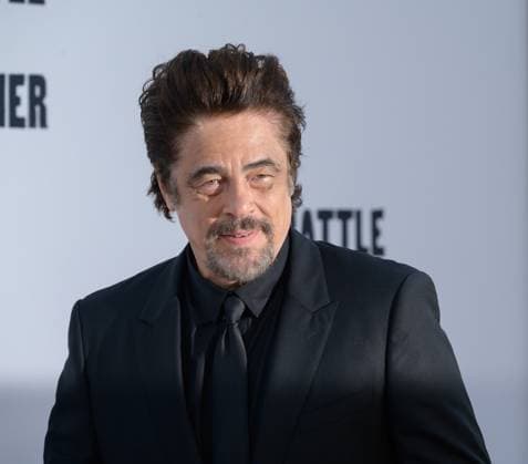 One Battle After Another Premiere - Los Angeles, USA LOS ANGELES, USA. September 08, 2025: Benicio Del Toro at the premiere for One Battle After Another at the TCL Chinese Theatre. Los Angeles CA USA  Copyright: xPaulxSmith Featureflashx