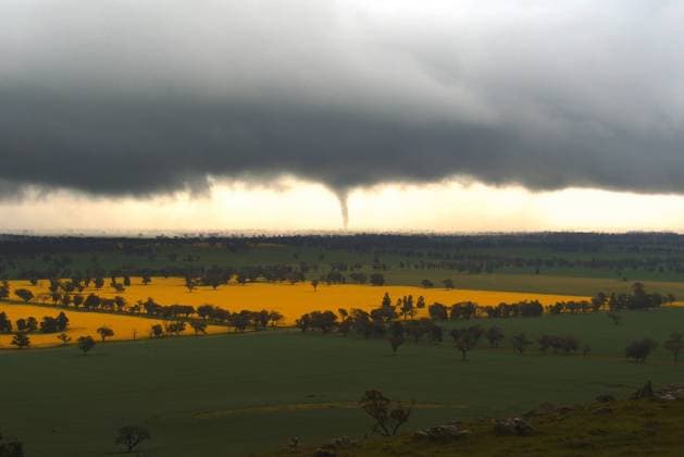 WILD WEATHER, A supplied image obtained on Thursday, September 11, 2025, as wild weather lashes Australia™s east coast, with heavy downpours triggering a surge in urgent calls for assistance. Multiple severe weather warnings remain in place, including alerts for damaging winds and hazardous surf across New South Wales. At least two tornadoes were reported across the state, including one captured on camera from a fire tower at Young, where images showed it tearing through a field.. ( NO ARCHIVING, EDITORIAL USE ONLY YOUNG NEW SOUTH WALES AUSTRALIA  Copyright: xSUPPLIEDxBYxNEWxSOUTHxWALESxSTATExEMERGENCYxSERVICEx 20250911189155064770