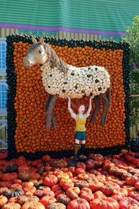 Pippi Langstrumpf auf der Kürbisausstellung im Spargelhof Klaistow Pippi Langstrumpf auf der Kürbisausstellung im Spargelhof Klaistow, 09.09.2025, Klaistow, Glindower Strasse, Brandenburg, Im Spargel- und Erlebnishof Klaistow befindet sich eine Kürbisausstellung mit Pippi Langstrumpf. *** Pippi Longstocking at the pumpkin exhibition at Klaistow asparagus farm Pippi Longstocking at the pumpkin exhibition at Klaistow asparagus farm, 09 09 2025, Klaistow, Glindower Strasse, Brandenburg, The Klaistow asparagus and adventure farm is hosting a pumpkin exhibition with Pippi Longstocking