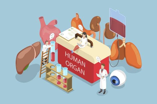 3D Isometrische flache Illustration der Organspende, Hilfe für Patienten 3D Isometric Flat Illustration of Organ Donation, Help for Patient Copyright: imageBROKER AnastasiiaxTorianyk ibxplw14947650.jpg