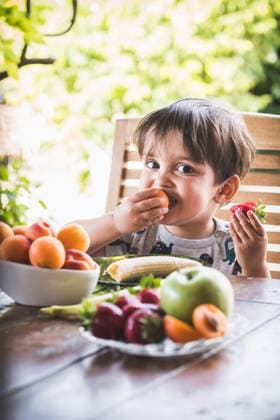 Young boy enjoying fresh fruit at a table in the garden, surrounded by vibrant greenery and various fruits. Model Released SylviePm_ID31478_1070256_001 Copyright: xx RECORD DATE NOT STATED