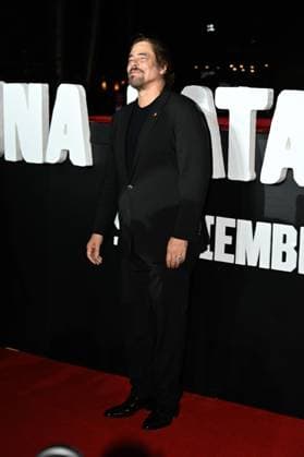 One Battle After Another Red Carpet Actor Benicio del Toro attends the red carpet for ˜One Battle After Another™ fan event at Toreo Parque Central. on September 18, 2025 in Mexico City, Mexico. Mexico City CDMX Mexico Copyright: xCarlosxTischlerx