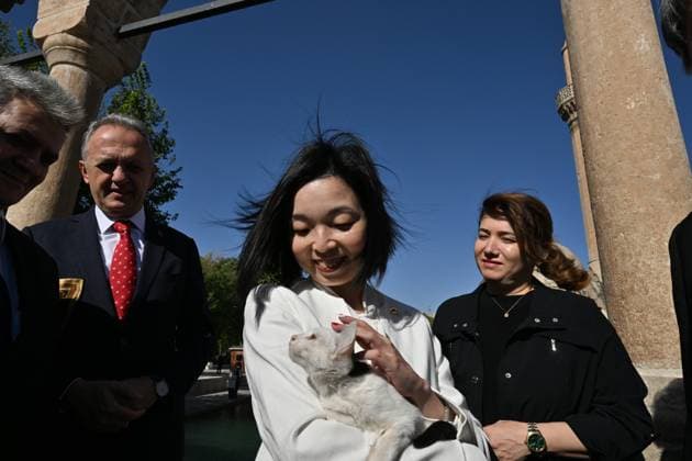 Japanese Princess Akiko of Mikasa visits Turkiye s Balikligol in Sanliurfa SANLIURFA, TURKIYE - SEPTEMBER 19: Japanese Princess Akiko of Mikasa holds a stray cat during her visit to historical Balikligol (Pool of the Sacred Fish) in Sanliurfa, Turkiye on September 19, 2025. Adsiz Gunebakan Anadolu Sanliurfa Turkey. Editorial use only. Please get in touch for any other usage.  Copyright: x2025xAnadoluxAdsizxGunebakanx