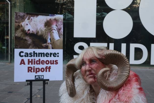 . 19 09 2025. London, United Kingdom. PETA Cashmere Protest London Fashion Week. London Fashion Week crowds witness a scene outside the New Gen space, where PETA Founder Ingrid Newkirk, who lived in Kashmir as a child and played with the kind of goats now factory farmed for cashmere, kneeling on the ground dressed as a goat while a worker aggressively rips hair from her body to demonstrate what happens to these animals in the cashmere industry. At the same time, a speaker plays the actual screams of terrified goats, recorded during PETA Asia s undercover investigation of cashmere farms in Mongolia - one of the world s top cashmere exporters.  xMartynxWheatleyx xi-Imagesx IIM-26243-0002