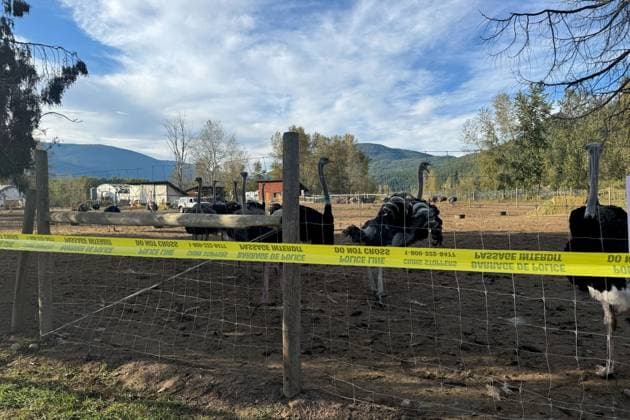 September 22, 2025, Edgewood, Bc, CANADA: Police tape surrounds an area where ostriches are penned in at the Universal Ostrich Farms property in Edgewood, B.C., Monday, Sept. 22, 2025. Edgewood CANADA  - ZUMAc35_ 20250922_zaf_c35_117 Copyright: xBrennaxOwenx