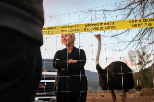 September 22, 2025, Edgewood, Bc, CANADA: Karen Espersen, the co-owner of Universal Ostrich Farms, speaks with supporters at the farm in Edgewood, B.C., on Monday, Sept. 22, 2025, as the Canadian Food Agency prepares to cull 400 of the farmöÄÃ s ostriches this week. Edgewood CANADA - ZUMAc35_ 20250922_zaf_c35_129 Copyright: xAaronxHemensx