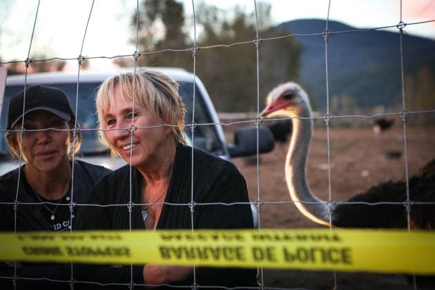 September 22, 2025, Edgewood, Bc, CANADA: Karen Espersen, centre, the co-owner of Universal Ostrich Farms, speaks with supporters with her daughter, Katie Pasitney, at the farm in Edgewood, B.C., on Monday, Sept. 22, 2025, as the Canadian Food Agency prepares to cull 400 of the farmöÄÃ s ostriches this week. Edgewood CANADA - ZUMAc35_ 20250922_zaf_c35_133 Copyright: xAaronxHemensx