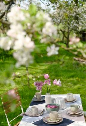 IMAGO Creative, Ostern, Bräuche, Osterbrunch Spring breakfast table with flowers and Easter eggs outdoors in a garden, Hamburg Hamburg Deutschland Altes Land GISF01221