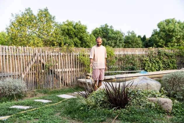 Man watering xerophytic plants in eco-friendly backyard garden model released, Symbolfoto property released, PCLF02598