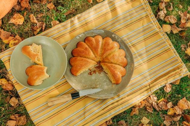 Apple pumpkin pie on tablecloth outdoors in backyard garden in autumn, VSNF04108