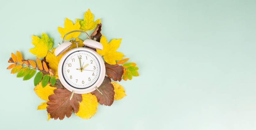 Winterzeitumstellung, Ende der Sommerzeit im Herbst, Wecker zurückstellen, bunte Laubfärbung, Jahreszeitenwechsel *** Winter time changeover, End the Summertime at Fall, Alarm clock put back, Bunte Foliage coloration, seasonal changes 1133603403