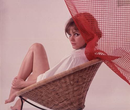 Circa 1969: Italian actress CLAUDIA CARDINALE peering from a wicker chair during a portrait session. Hollywood USA  - ZUMAg49_ 19690101_glb_g49_315 Copyright: xGlobexPhotosx