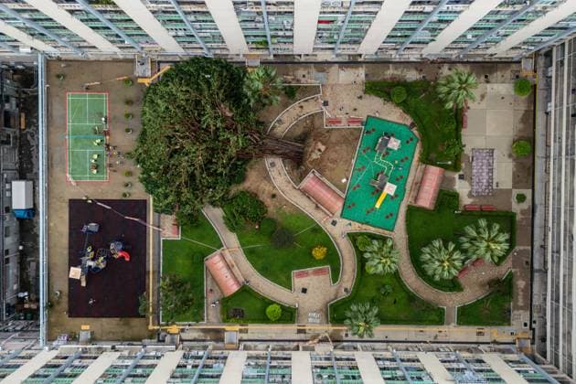 Bilder des Jahres 2025, News September 09 Hong Kong After Typhoon Ragasa An aerial photograph showing a fallen tree at a public housing estate on September 24, 2025 in Hong Kong. (Photo by Vernon Yuen Nexpher Images)