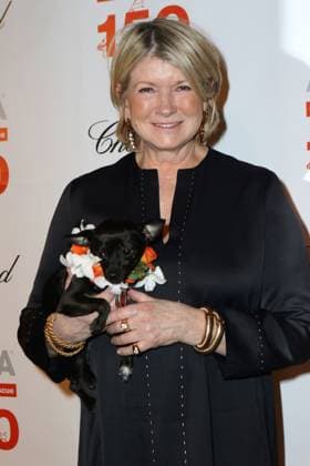 ASPCA 19th Annual Bergh Ball, 041416 April 14, 2016 - New York City, NY, USA - Martha Stewart attending the ASPCA 19th Annual Bergh Ball honoring Drew Barrymore, hosted by Nathan Lane wiith music by Mark Ronson at the Plaza Hotel on April 14, 2016 in New York City Copyright: xNancyxRiverax