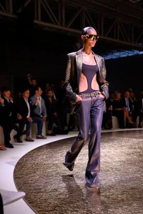 Milan Fashion Week - Women S S 2026 Roberto Cavalli fashion show Vibes Milan, Italy Milan Fashion Week - Women S S 2026 Roberto Cavalli fashion show Vibes Milan, Italy 25th September 2025  Copyright: xALFONSOxCATALANO SGPITALIAx