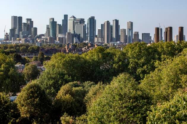 London s Canary Wharf skyline beyond lush green trees of Greenwich Park under a clear blue sky. London s Canary Wharf skyline beyond lush green trees of Greenwich Park under a clear blue sky. London, United Kingdom London United Kingdom mcdo00792 Copyright: xConnectxImagesx