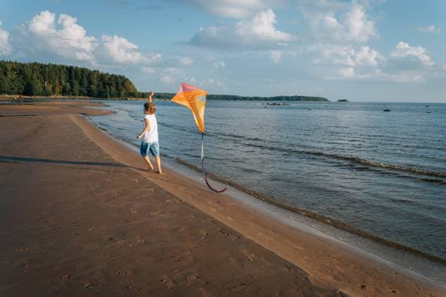 Boy running with kite along shoreline Primorsk, Leningrad Oblast, Russia CR_KSLI25092570-1832540-01 ,model released, Symbolfoto